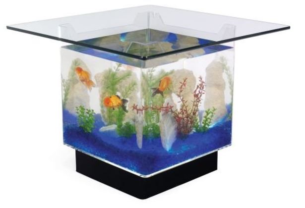 Fish Tank Coffee Table Fun! Reviews, Prices, Tips & More: Aquarium ...